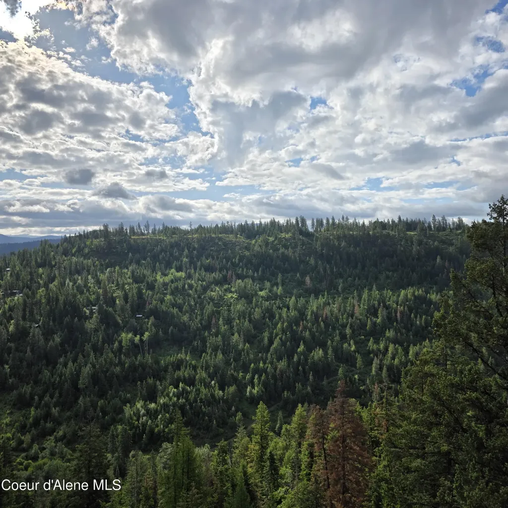 Nka 4 Sunrise Drive Harrison ID 83833