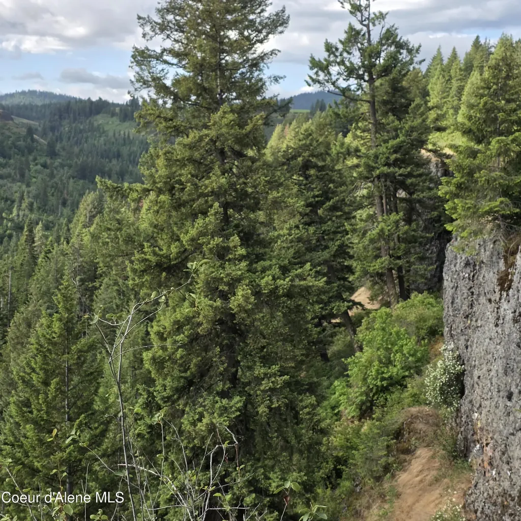 Nka 4 Sunrise Drive Harrison ID 83833