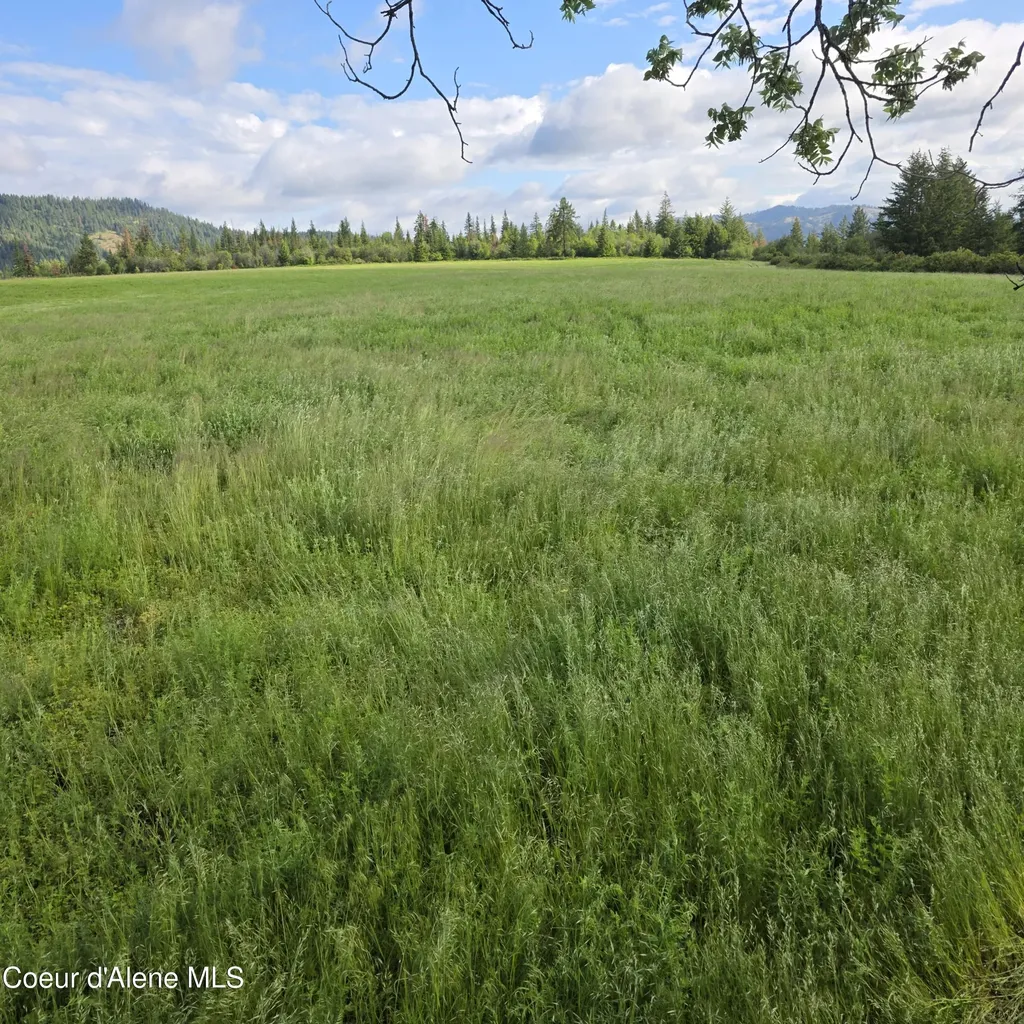 Nka 4 Sunrise Drive Harrison ID 83833