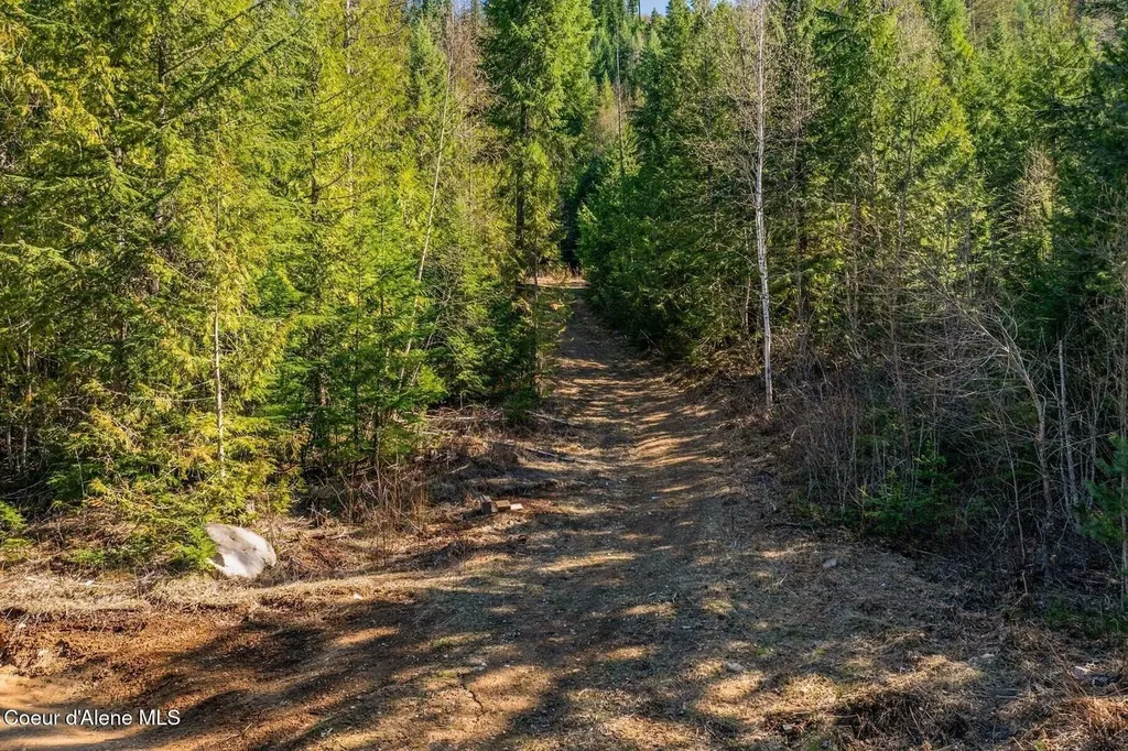 Lots 1 & 2 Cedar Acres Priest River ID 83856