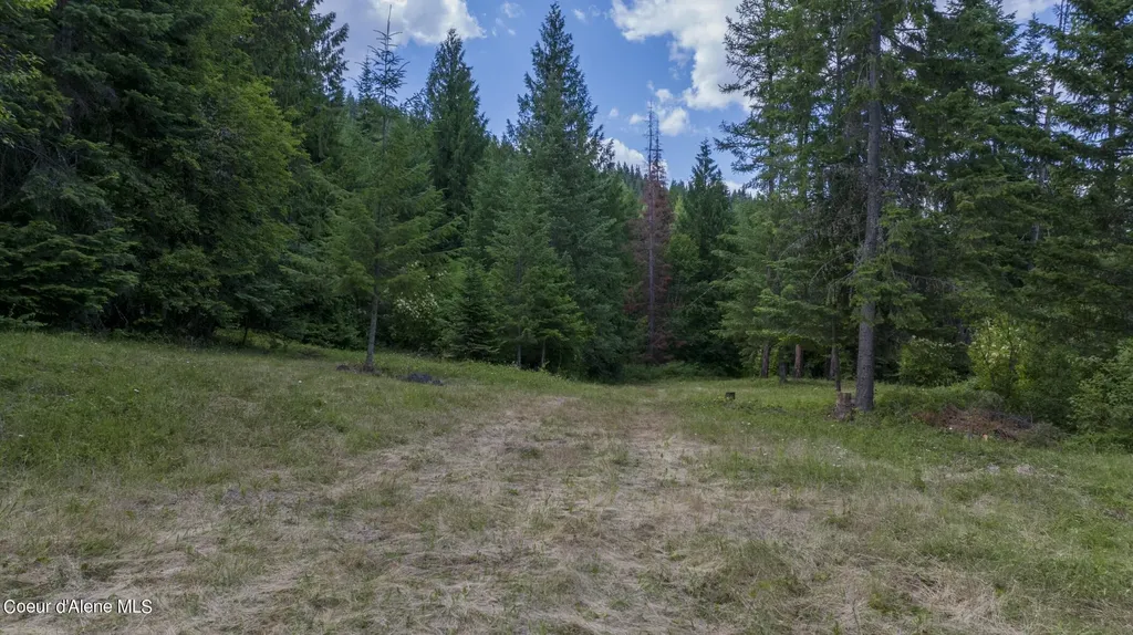 7362 S Dicks Creek Road Kendrick ID 83537