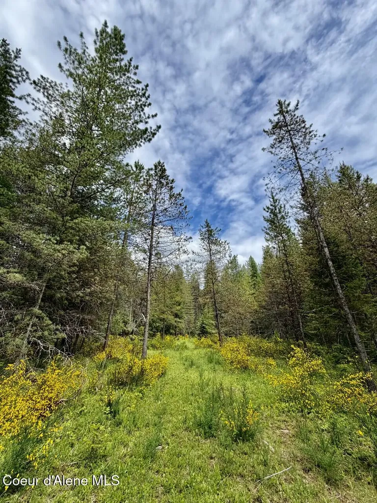 258 Welcome Lane Bonners Ferry ID 83805