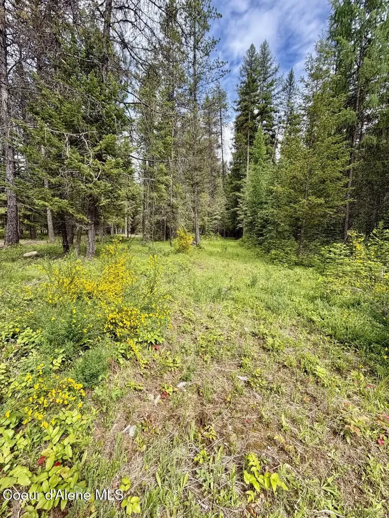 258 Welcome Lane Bonners Ferry ID 83805