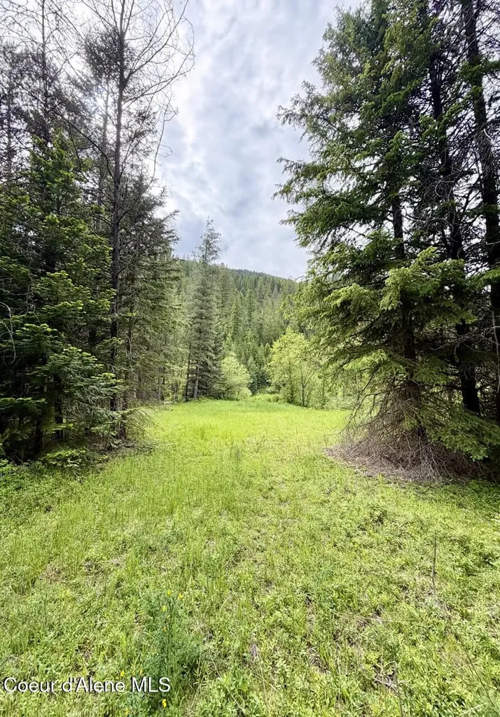 258 Welcome Lane Bonners Ferry ID 83805
