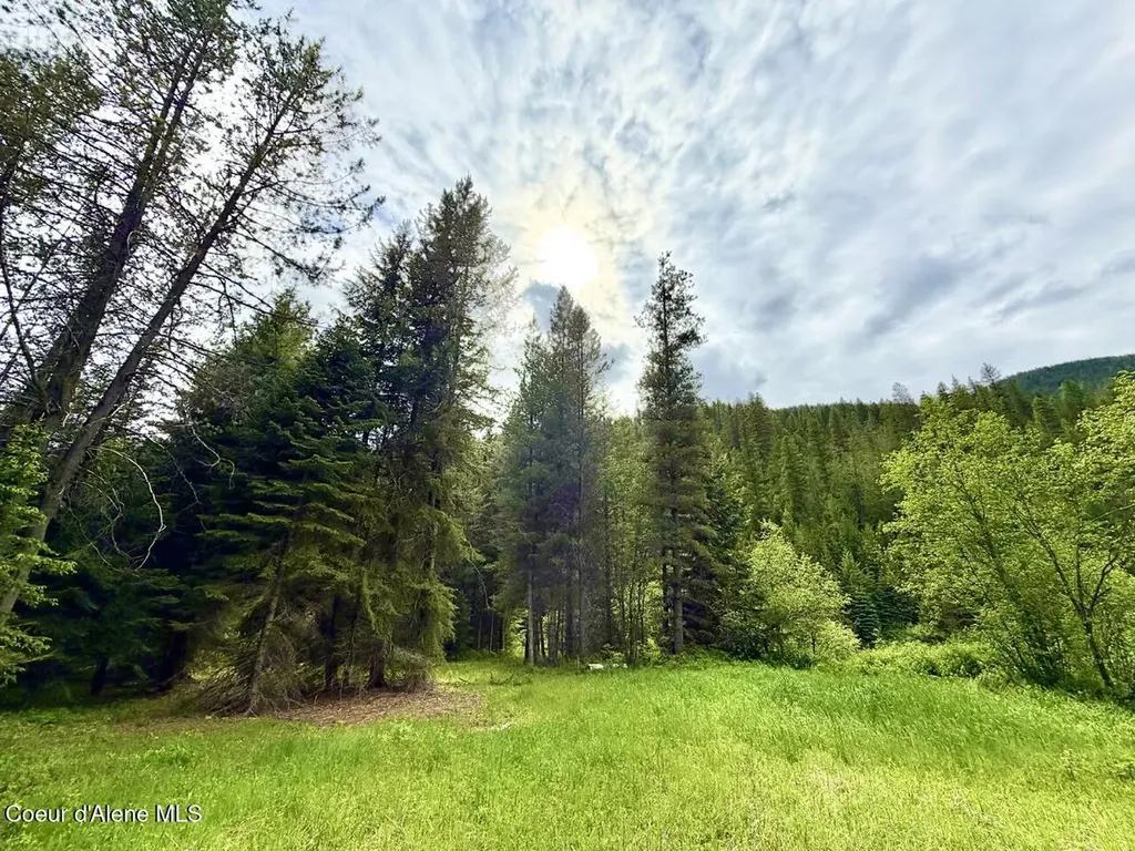 258 Welcome Lane Bonners Ferry ID 83805