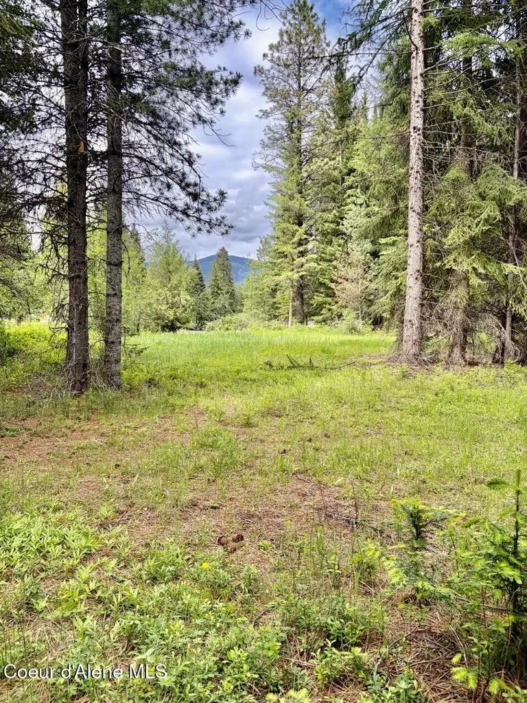 258 Welcome Lane Bonners Ferry ID 83805