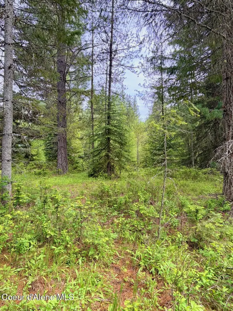 258 Welcome Lane Bonners Ferry ID 83805