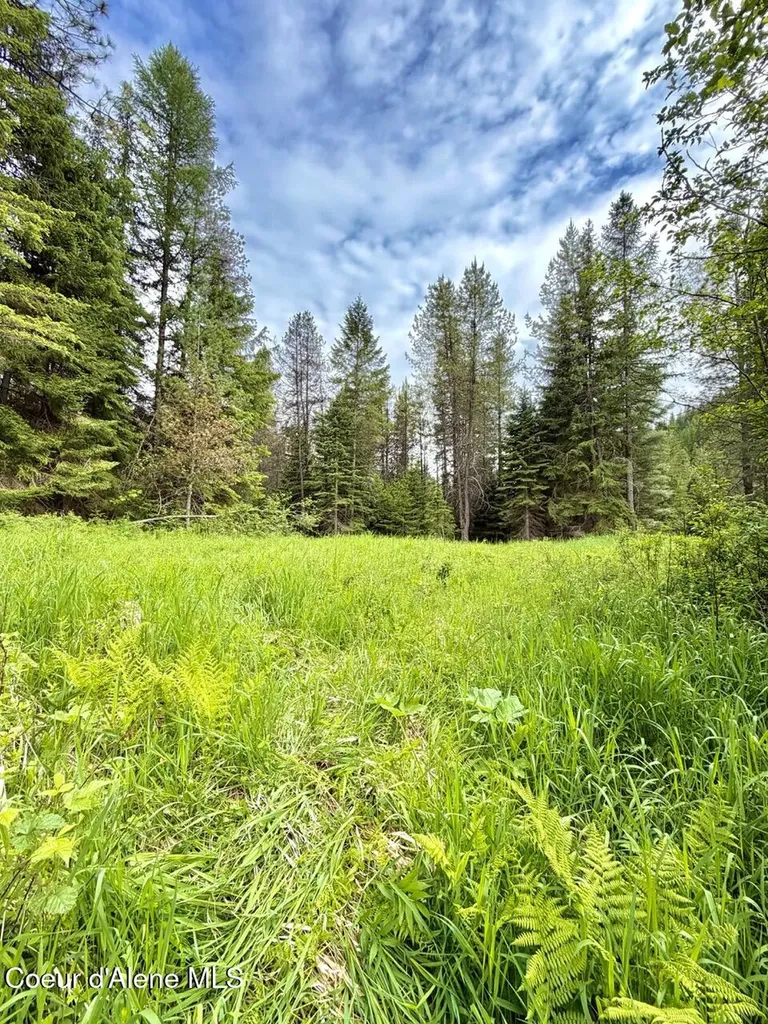 258 Welcome Lane Bonners Ferry ID 83805