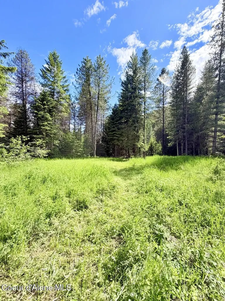 258 Welcome Lane Bonners Ferry ID 83805
