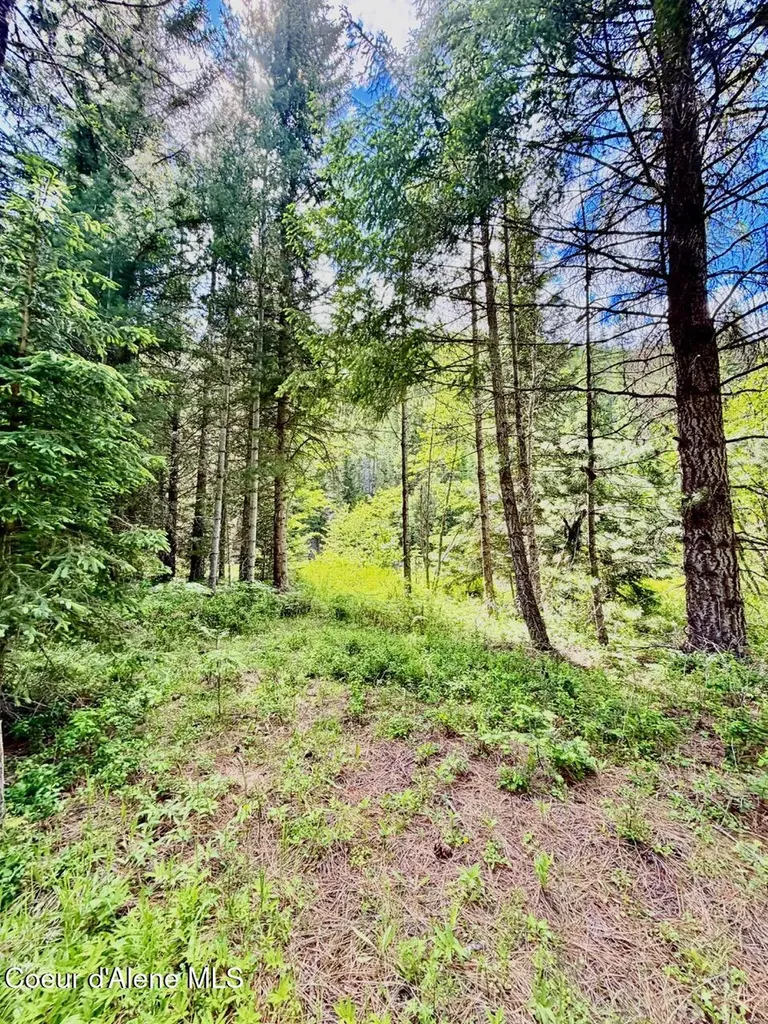 258 Welcome Lane Bonners Ferry ID 83805