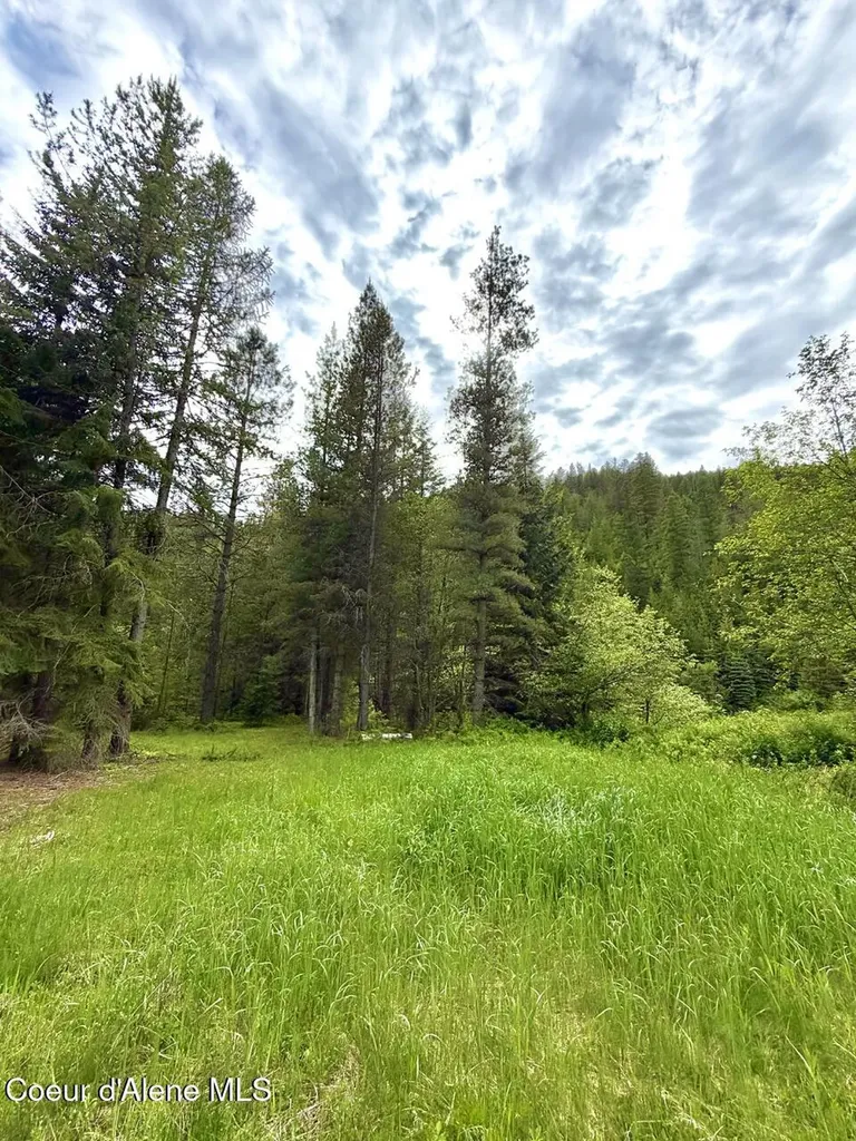 258 Welcome Lane Bonners Ferry ID 83805