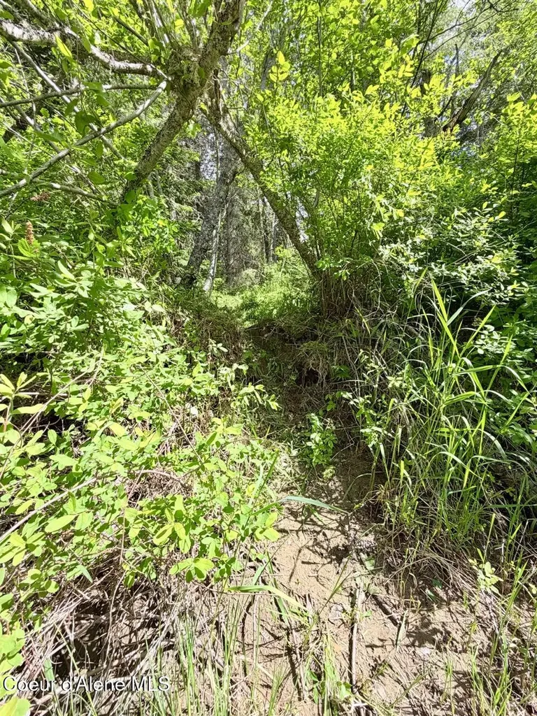 258 Welcome Lane Bonners Ferry ID 83805