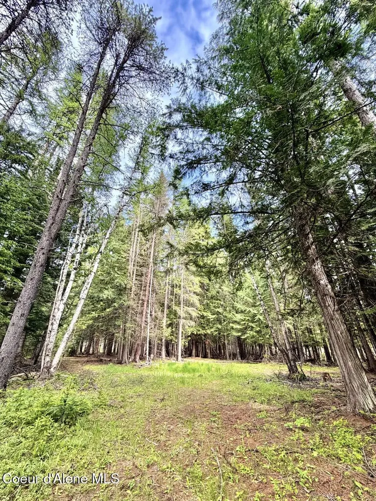 258 Welcome Lane Bonners Ferry ID 83805