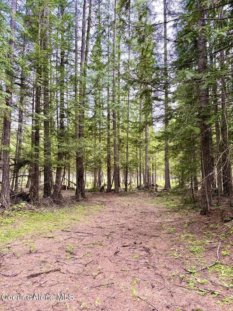 258 Welcome Lane Bonners Ferry ID 83805