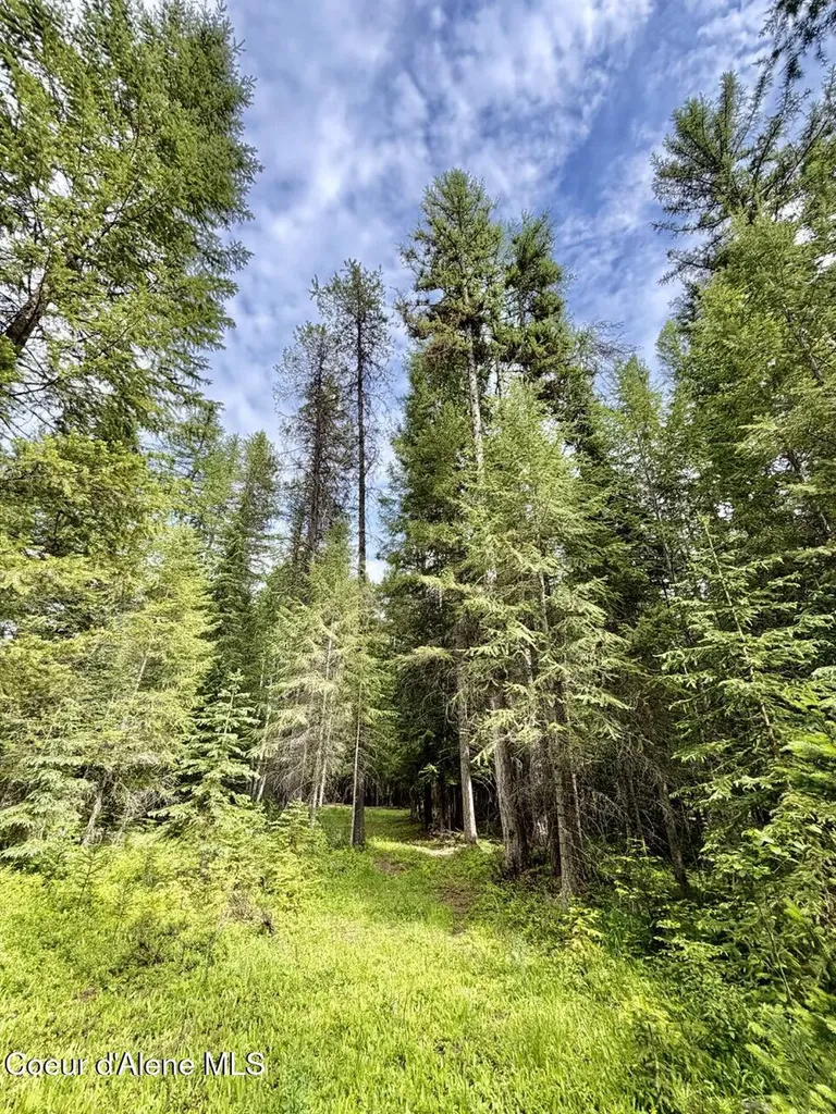 258 Welcome Lane Bonners Ferry ID 83805