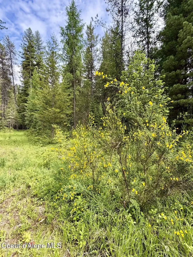 258 Welcome Lane Bonners Ferry ID 83805