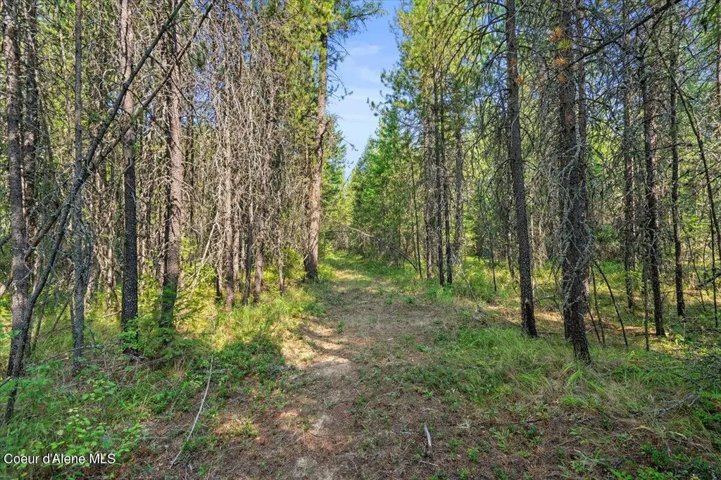 311 Bigfoot Road Newport WA 99156