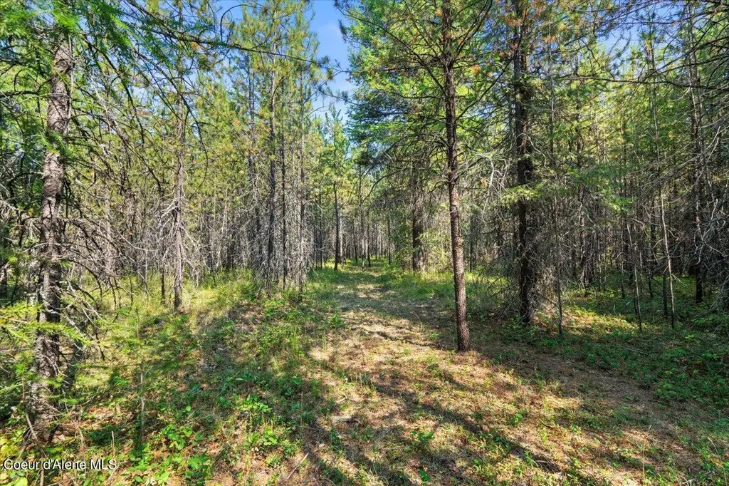 311 Bigfoot Road Newport WA 99156
