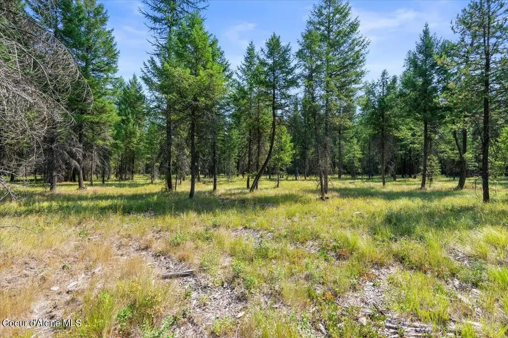 311 Bigfoot Road Newport WA 99156