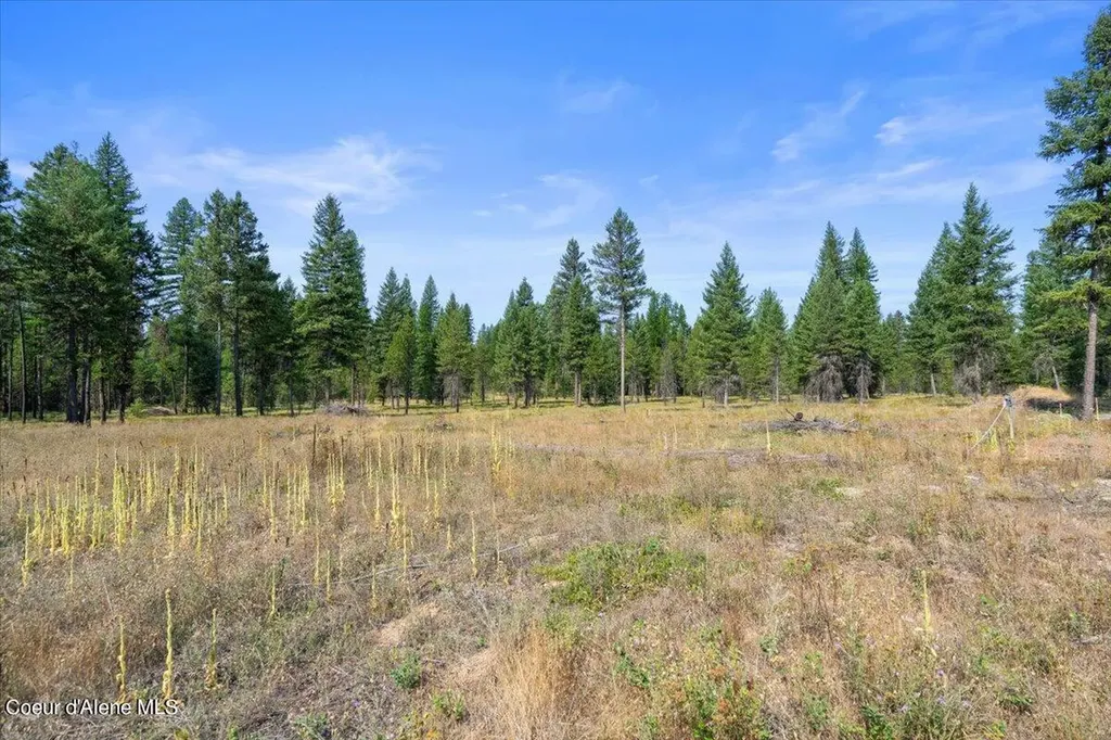 311 Bigfoot Road Newport WA 99156