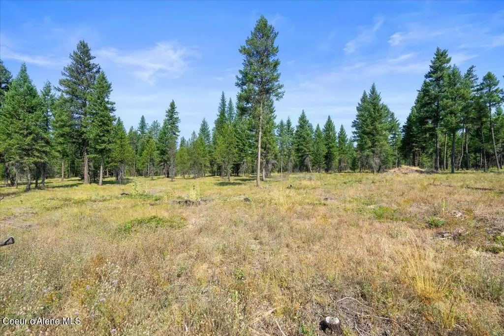 311 Bigfoot Road Newport WA 99156