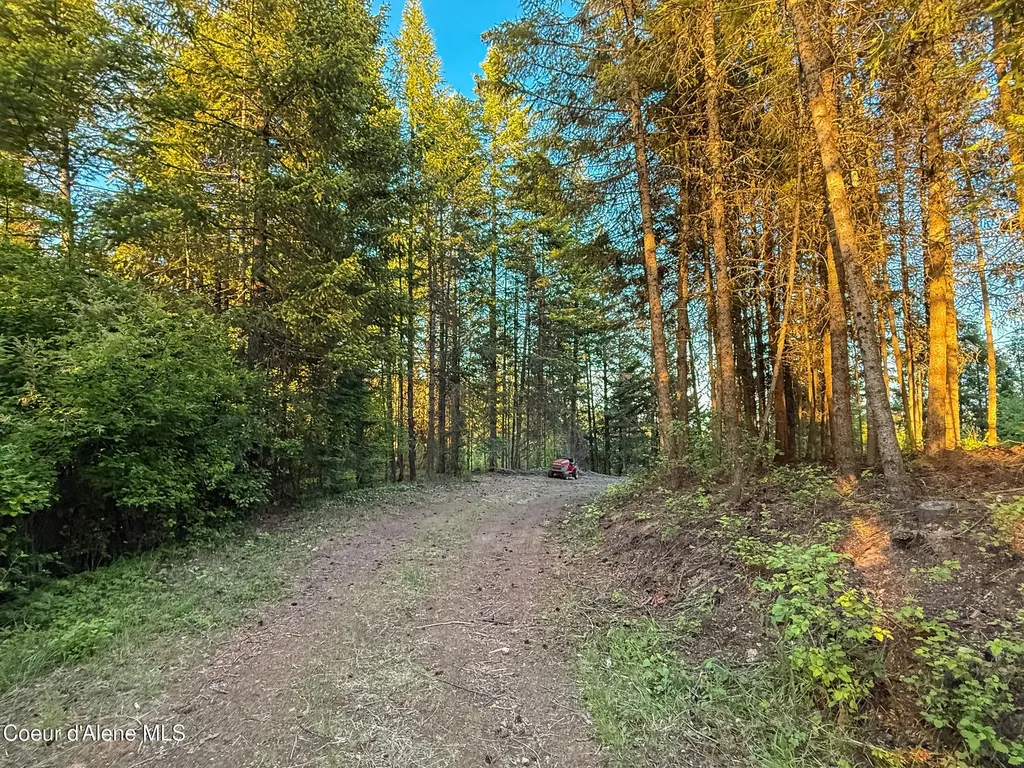 Lot 3 Ridgeview Drive St. Maries ID 83861