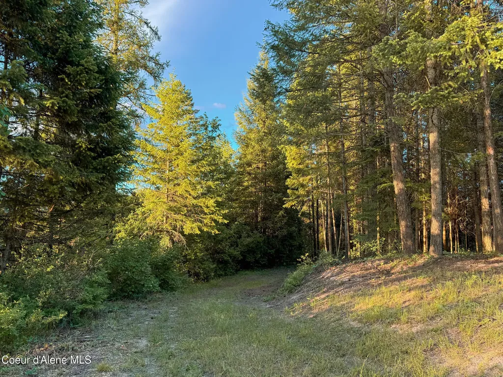 Lot 3 Ridgeview Drive St. Maries ID 83861
