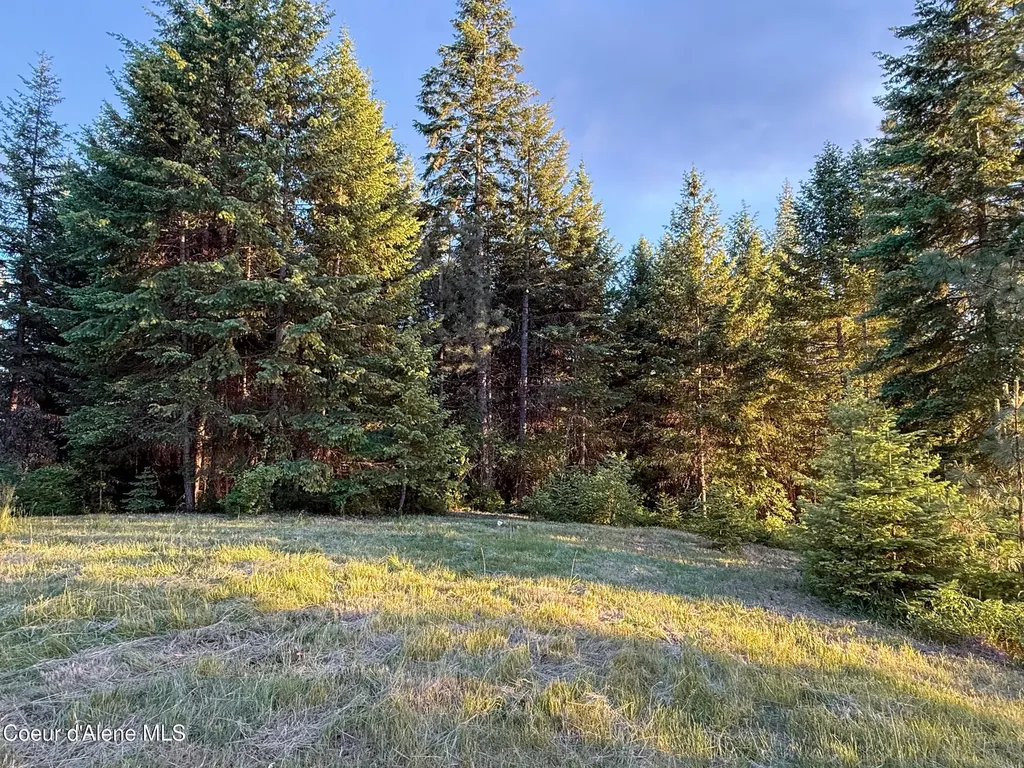Lot 3 Ridgeview Drive St. Maries ID 83861