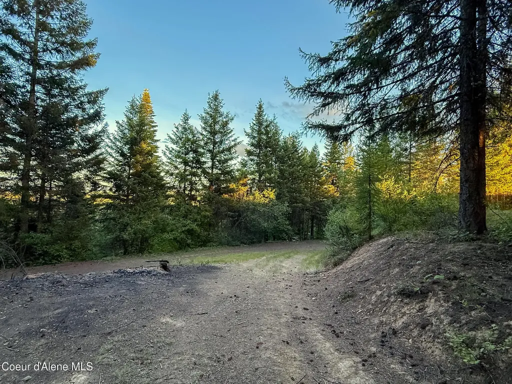 Lot 3 Ridgeview Drive St. Maries ID 83861