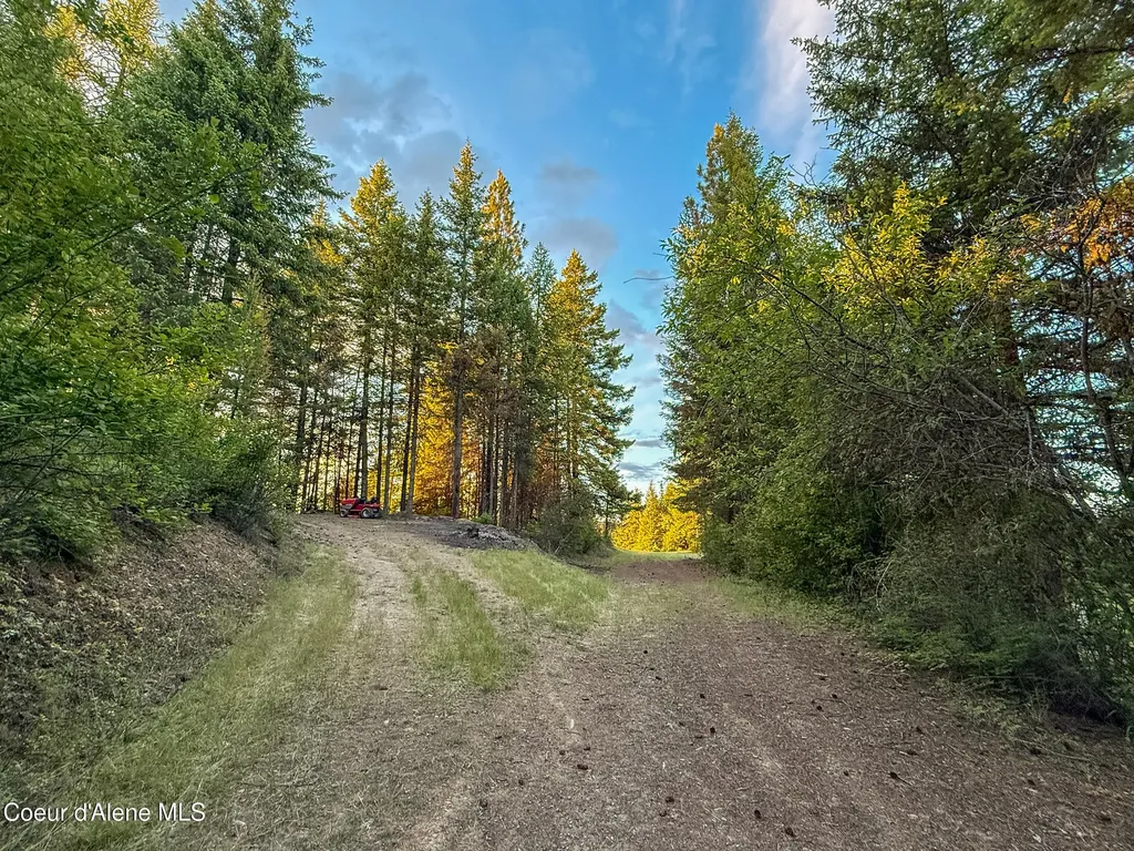 Lot 3 Ridgeview Drive St. Maries ID 83861