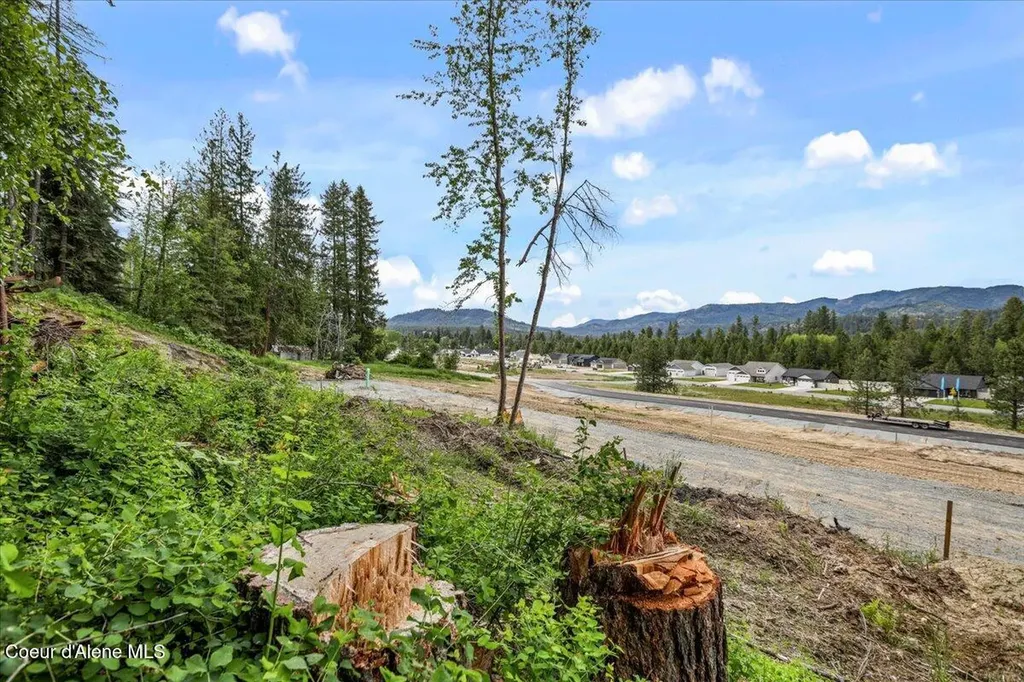 Nka Baja Lot 3 Lane Oldtown ID 83822