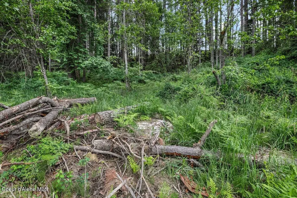 Nka Baja Lot 3 Lane Oldtown ID 83822