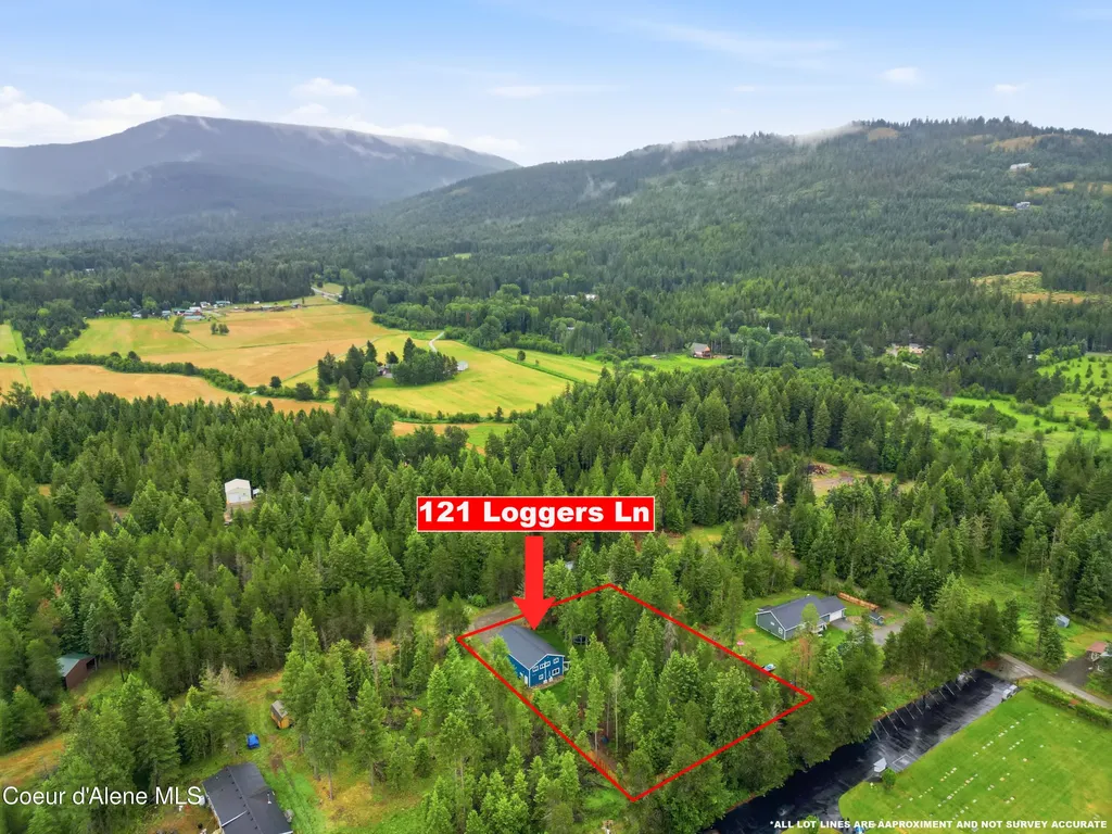 67 Loggers Lane Sagle ID 83860