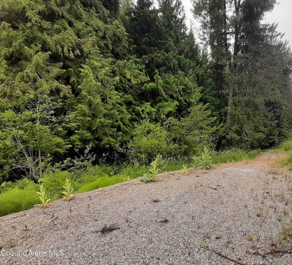 11328 Coeur D'alene River Road Kingston ID 83839