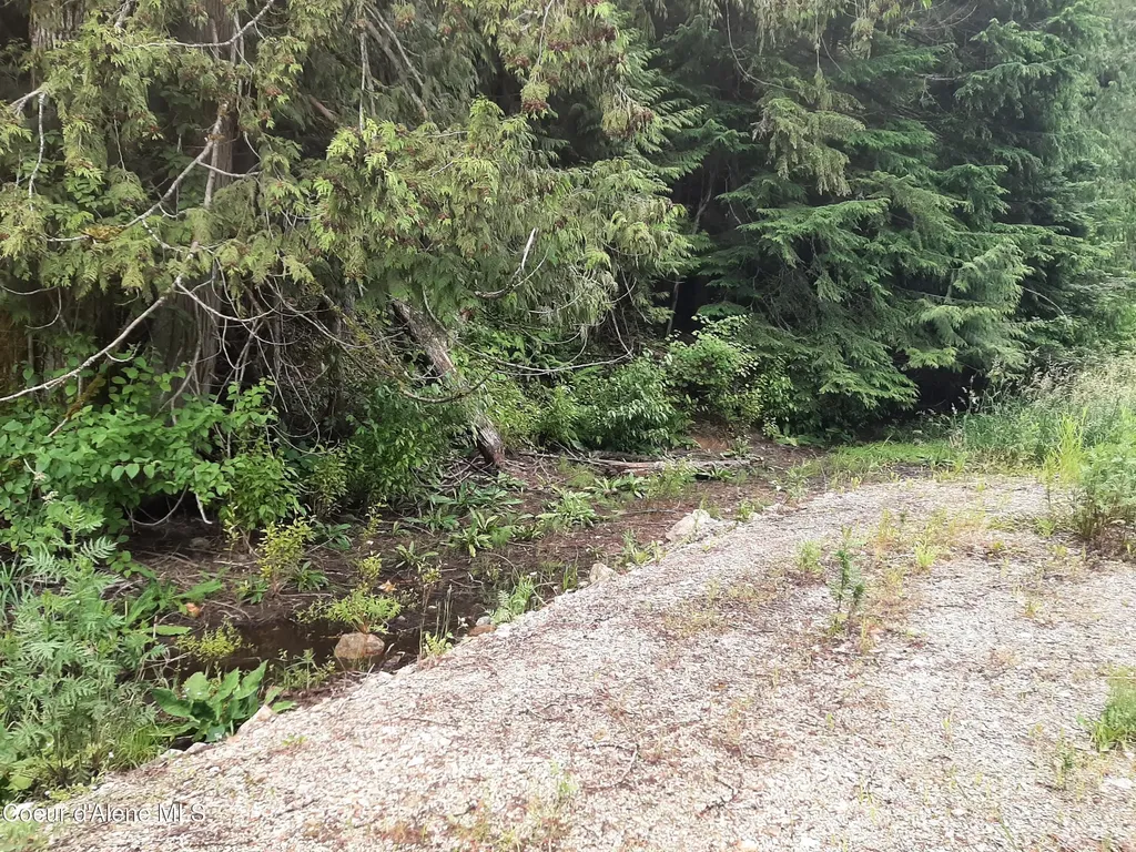 11328 Coeur D'alene River Road Kingston ID 83839