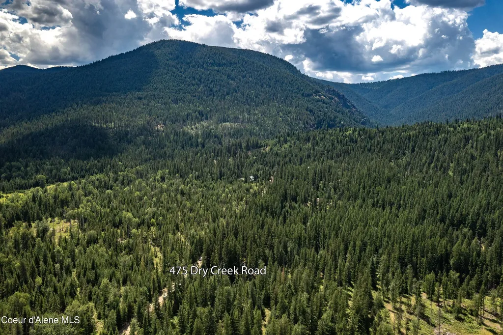 475 Dry Creek Road Clark Fork ID 83811