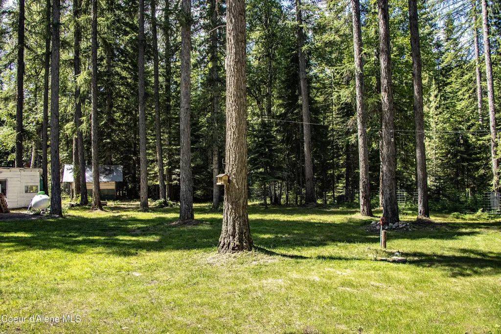 475 Dry Creek Road Clark Fork ID 83811