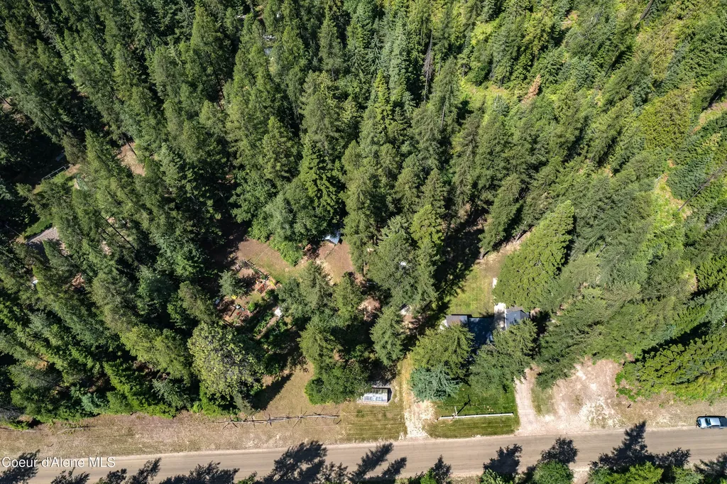 475 Dry Creek Road Clark Fork ID 83811