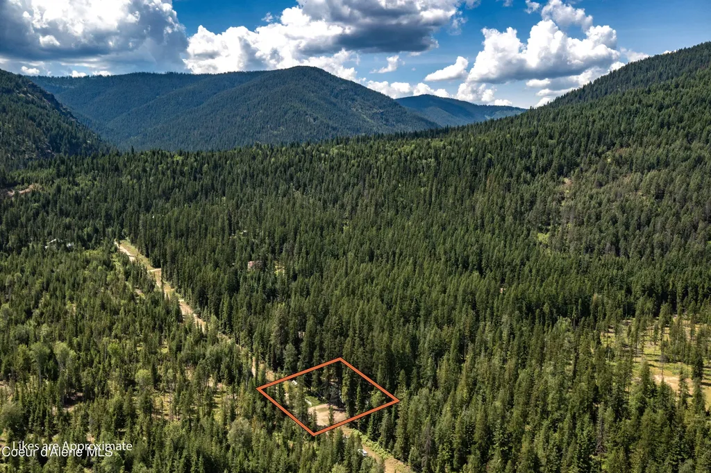 475 Dry Creek Road Clark Fork ID 83811
