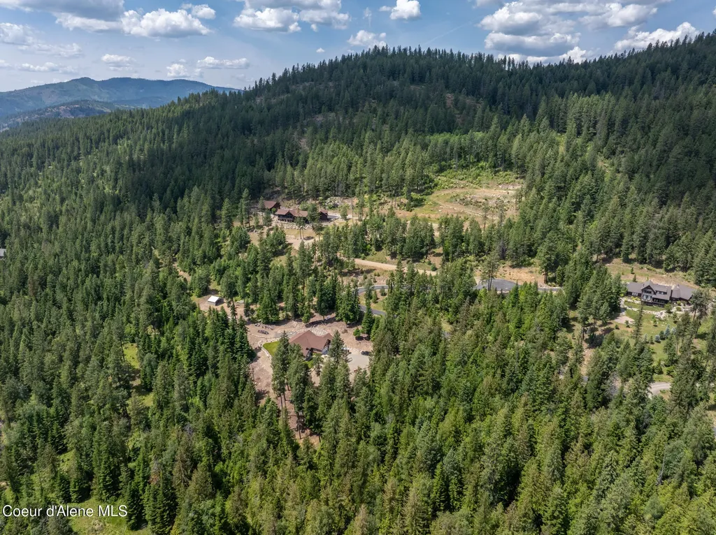 298 Trickle Creek Lane Sagle ID 83860