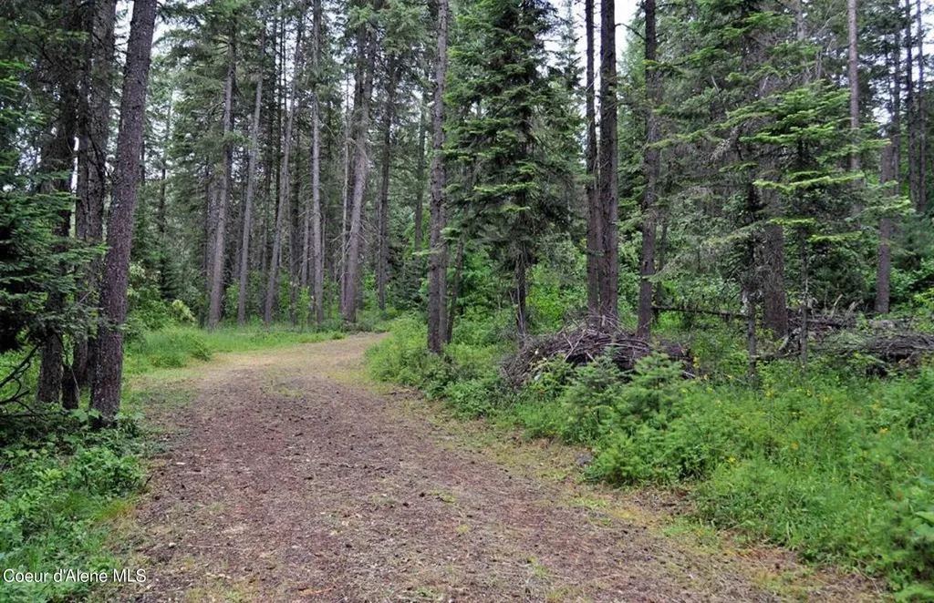 60317 Highway 200 Clark Fork ID 83811