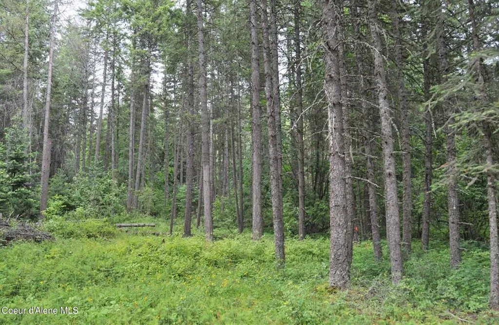 60317 Highway 200 Clark Fork ID 83811