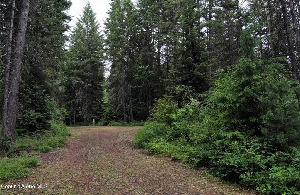 60317 Highway 200 Clark Fork ID 83811