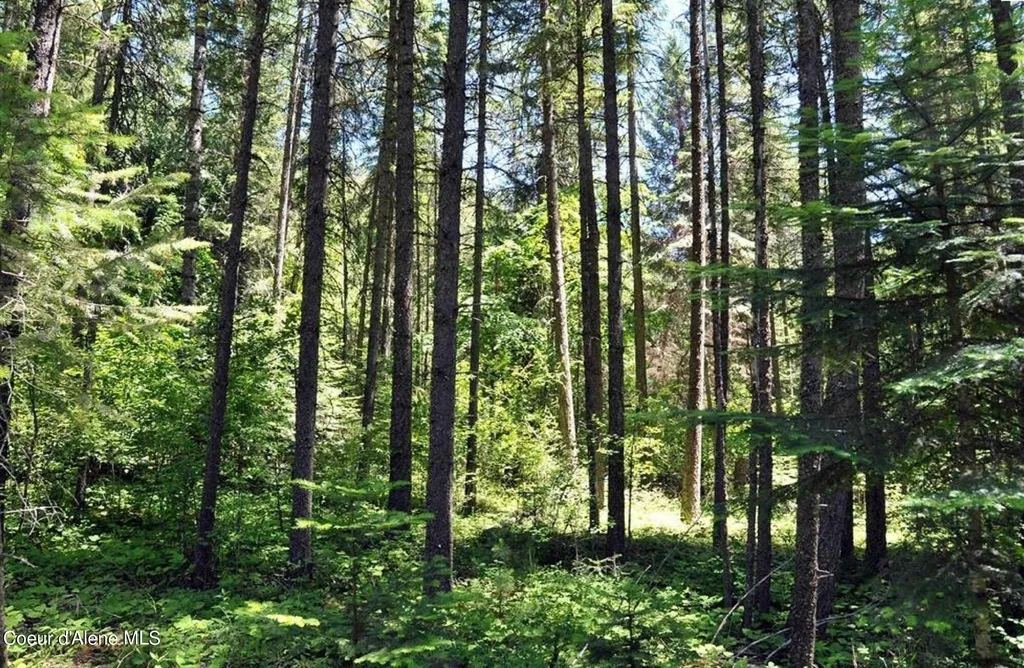 60317 Highway 200 Clark Fork ID 83811
