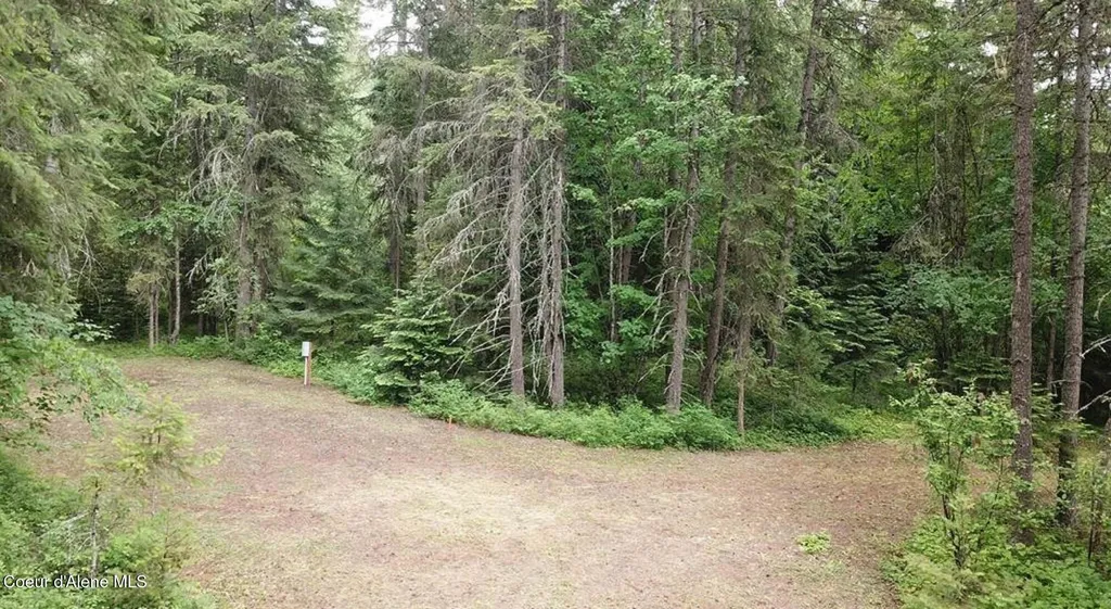 60317 Highway 200 Clark Fork ID 83811