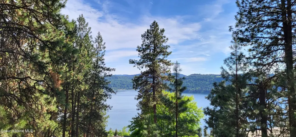 Lot 9 & 10 E Crows Nest Road Harrison ID 83833