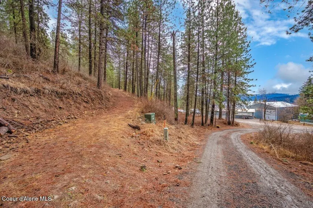 Lot 9 & 10 E Crows Nest Road Harrison ID 83833