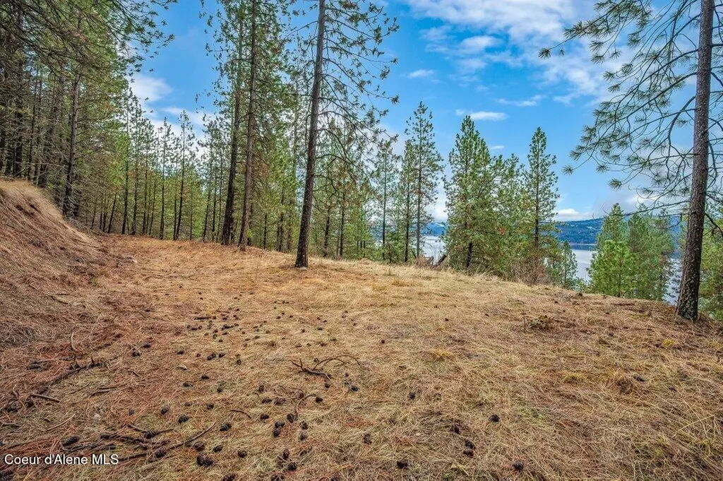 Lot 9 & 10 E Crows Nest Road Harrison ID 83833