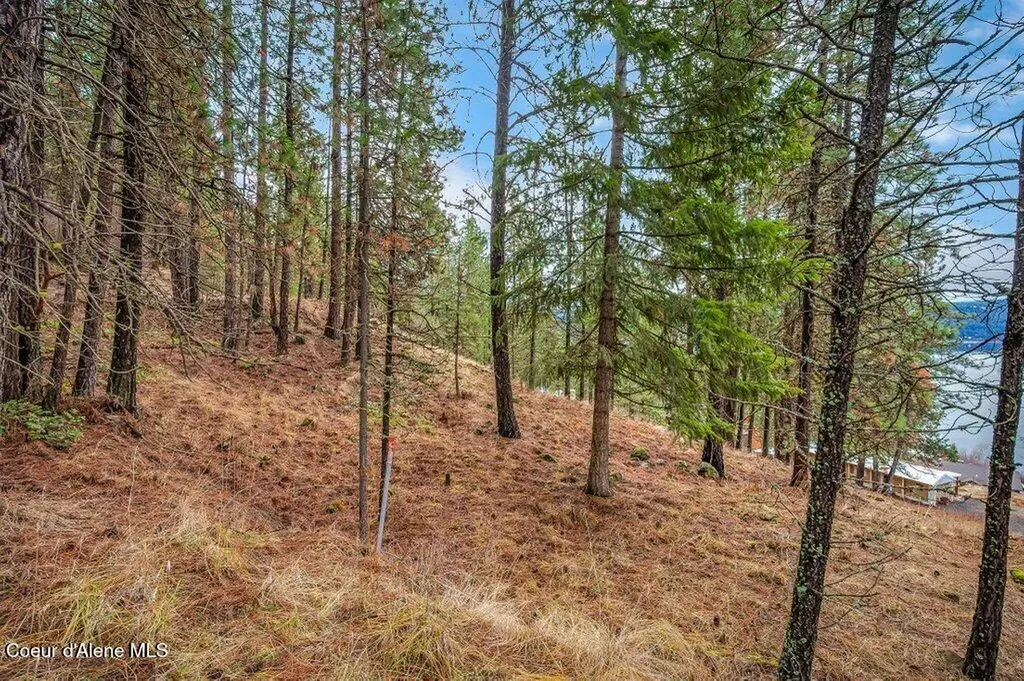 Lot 9 & 10 E Crows Nest Road Harrison ID 83833