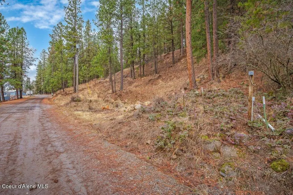 Lot 9 & 10 E Crows Nest Road Harrison ID 83833